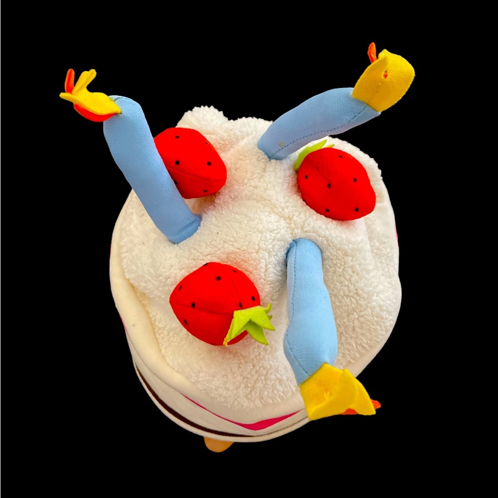 Birthday Hat- colorful and soft